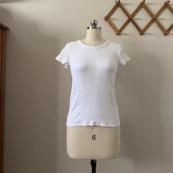 RE/DONE / Hanes Varigated 60s Slim Tee Optic White
